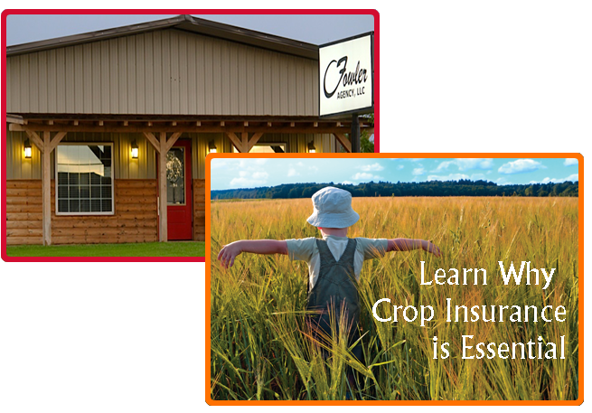 Why Crop Insurance is Essential