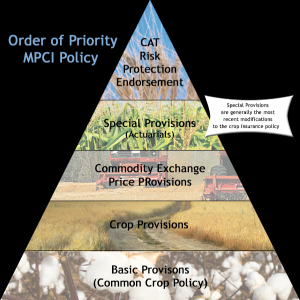 Insurance Prioritization Pyramid PolicyPyramid | Fowler Agency | Ag Risk Management | Crop Insurance ...