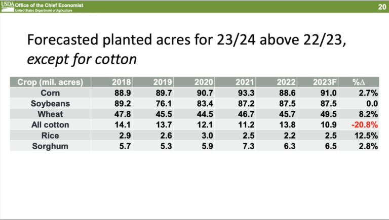 Forecasted planted acres for 23/24 | USDA Office of the Chief Economist