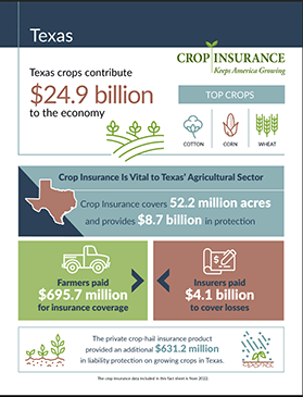 Texas Crops Contribute $24.9 Billion to Our Economy