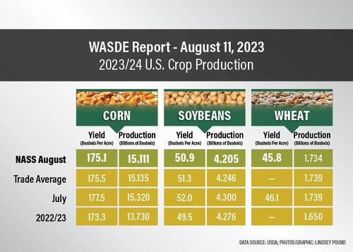 WASDE Report - August 11, 2023