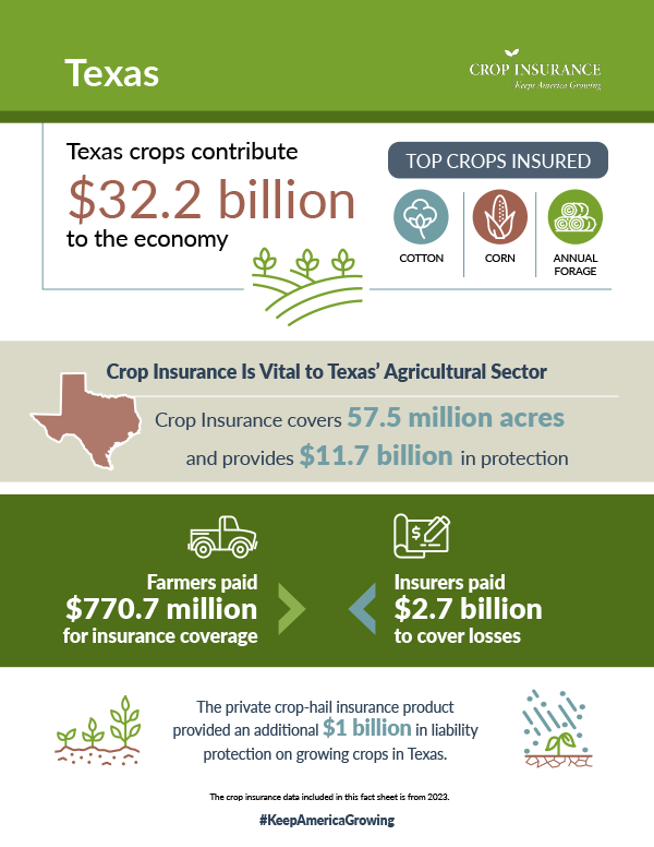 Texas Crops Contribute $32.2 Billion to Our Economy