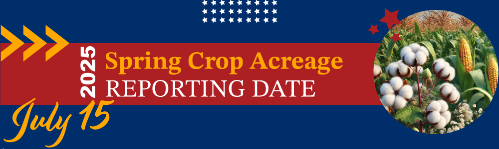 2025-Spring-Acreage-Report 2025 Spring Crop ARD
