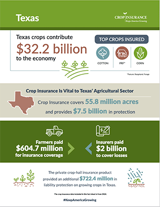 Texas Crops Contribute $32.2 Billion to Our Economy